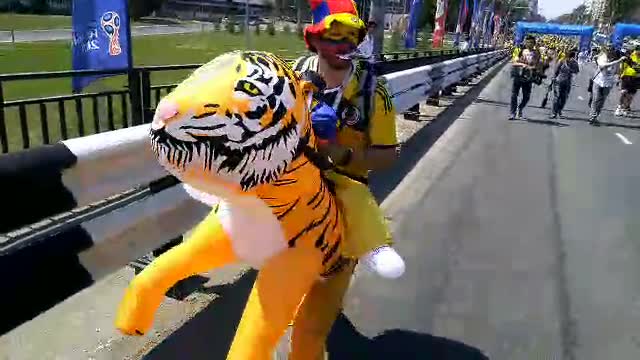 Колумбиец на тигре скачет к стадиону