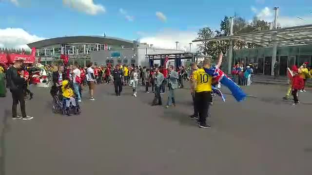 Исландцы, поддерживающие Швецию