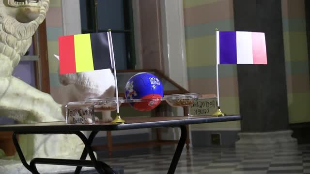 Кот-предсказатель сделал прогноз на матч Франция — Бельгия