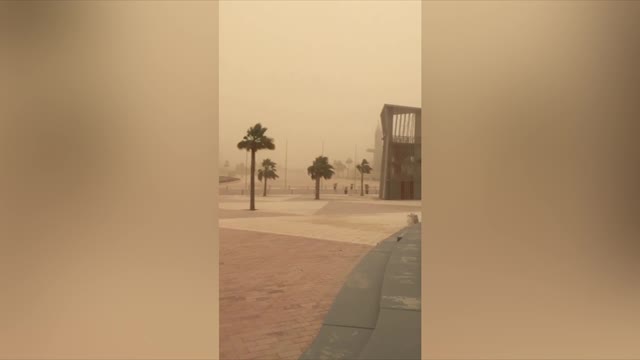 Семак показал песчаную бурю в Катаре. Сборы «Зенита»
