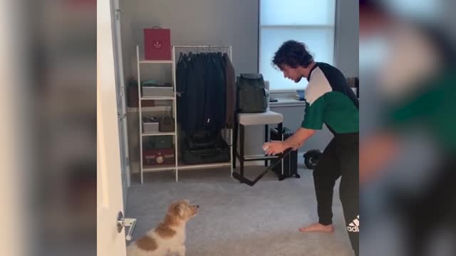 Панарин обучает свою собаку хоккею