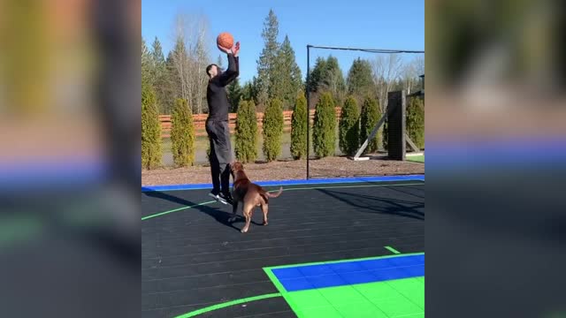 Зак Лавин играет в баскетбол 1 на 1 со своей собакой