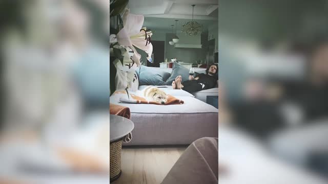 Панарин грустит на диване с бокалом и собакой