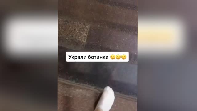 Видео из «Инстаграма» Александра Селихова о пропаже обуви