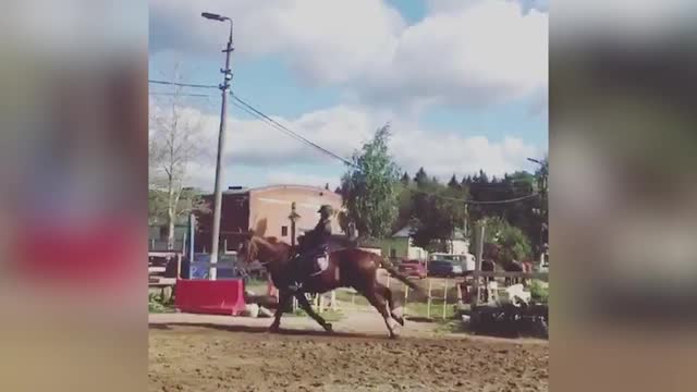 Алёна Косторная занимается конным спортом