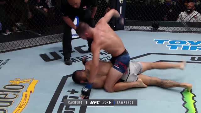 UFC Вегас 20: Винс Качеро vs Ронни Лоуренс