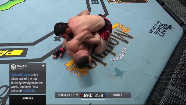 Махачев победил Добера удушающим приёмом на турнире UFC 259