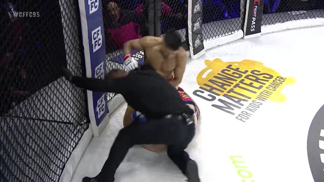 Лучшие моменты турнира  CFFC 95