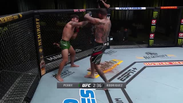 UFC Вегас 23: Майк Перри (США) vs Дэниел Родригез (США)