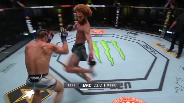 UFC Вегас 24: Луис Пенья (Италия) vs Алекс Муньоз (США)