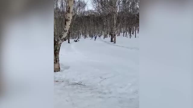 Участник лыжного марафона врезался в дерево
