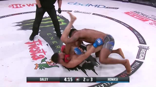 Bellator 257: Пол Дейли нокаутировал Сабаха Хомаси