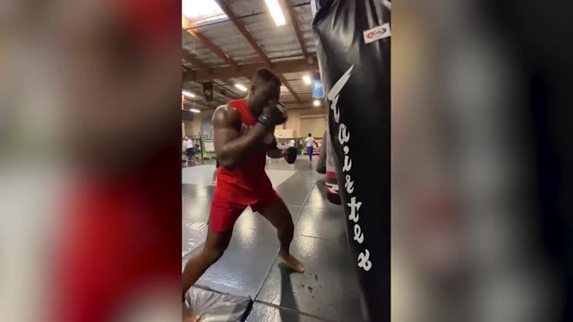 Впечатляющая ударная мощь чемпиона UFC Фрэнсиса Нганну
