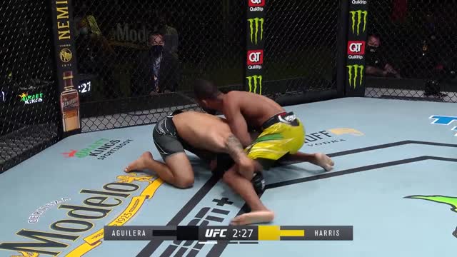 UFC Вегас 26: Харрис удушением «анаконда» победил Агилеру