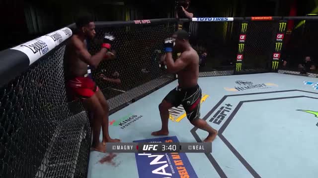UFC Вегас 26: Магни единогласным решением оказался сильнее Нила