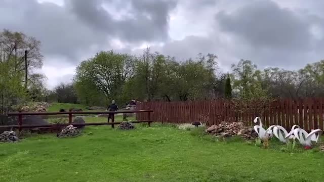 Большунов показал прыжки с собакой через забор