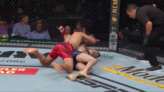 UFC 264: Раян Холл (США) vs Илия Топурия (Грузия)