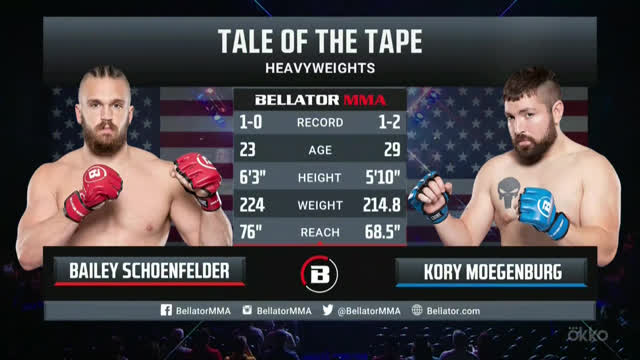 Bellator 265. Бейли Шёнфельдер (ТКО) vs Кори Могенбург