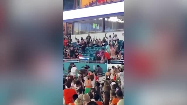 Фанаты спасли кота, сорвавшегося с крыши стадиона