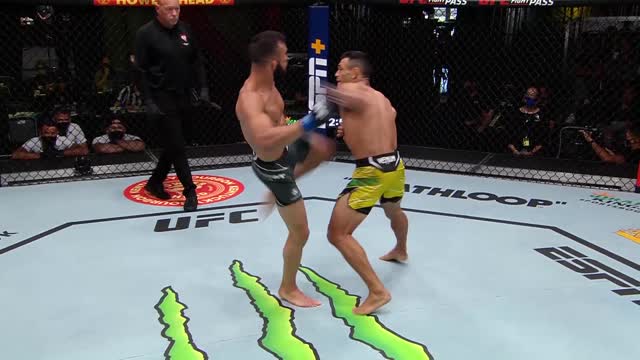 UFC Вегас 38: Дугас Сильва Де Андраде vs Гаэтано Пиррелло