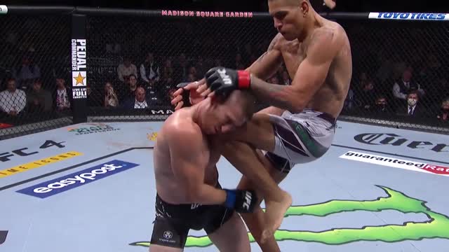 UFC 268: Алекс Перейра (Бразилия) vs Андреас Михаилидис (Греция)