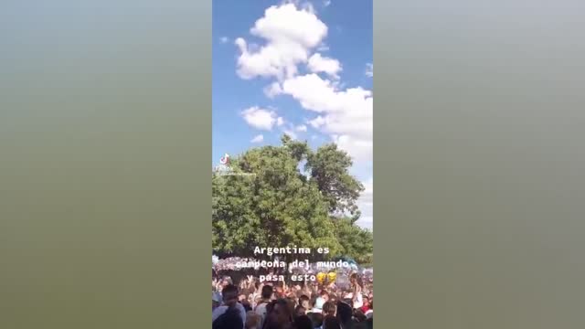 Празднования в Аргентине. Человек упал с верхушки дерева