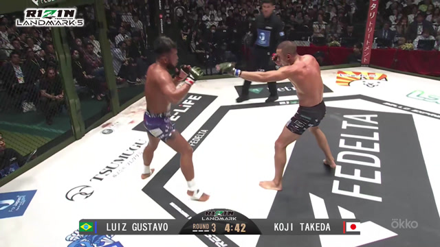 RIZIN LANDMARK 5. Самые яркие моменты турнира