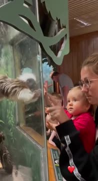 Дочка Даниила Медведева в нью-йоркском зоопарке с мамой