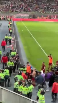 Полиция Перу избила дубинками игроков сборной Венесуэлы