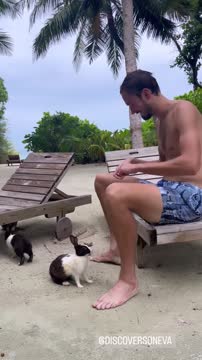 Даниил Медведев кормит кроликов в отпуске