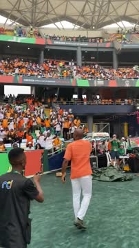 Дидье Дрогба завёл трибуны на Кубке Африки