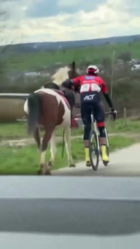 Бельгийский велогонщик спас лошадь от столкновения с пелотоном