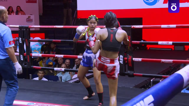 RWS Muay Thai. Лучшие моменты турнира