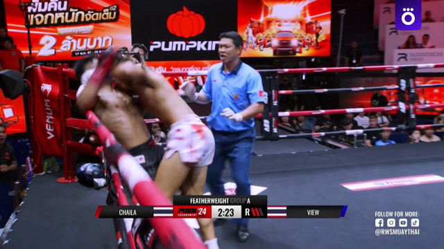 RWS Muay Thai. Лучшие моменты турнира