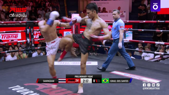 RWS Muay Thai . Гран-При 9. Лучшие моменты турнира