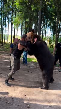 Арсланбек Махмудов провёл борцовскую схватку с медведем