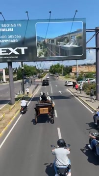 Мераб Двалишвили привёз пояс UFC в Грузию