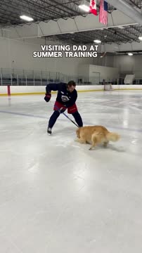 Проворов готовится к сезону со своим псом Дрейком