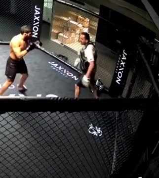 Царукян выбил тренера из октагона