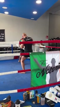 Макгрегор поделился кадрами с тренировки