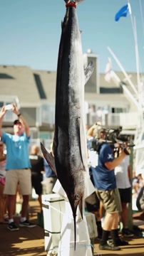 Команда Джордана поймала 32-килограммового белого марлина