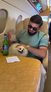 Царукян поддел Топурию, использовав собаку