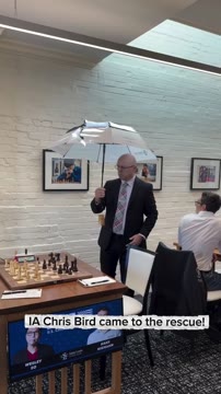 Арбитр спас шахматную партию с помощью зонта