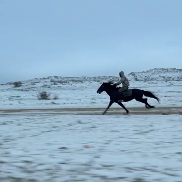 Ислам Махачев скачет на своей лошади