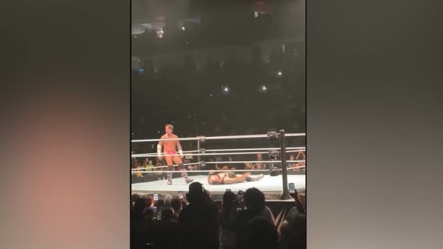Новогоднее хаус-шоу реслинг-промоушена WWE