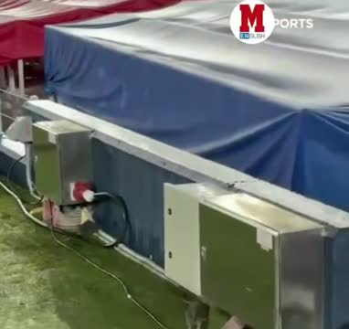 На «Камп Ноу» заметили крыс перед матчем с «Копенгагеном»