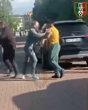 Футболист «Вероны» подрался с фанатом