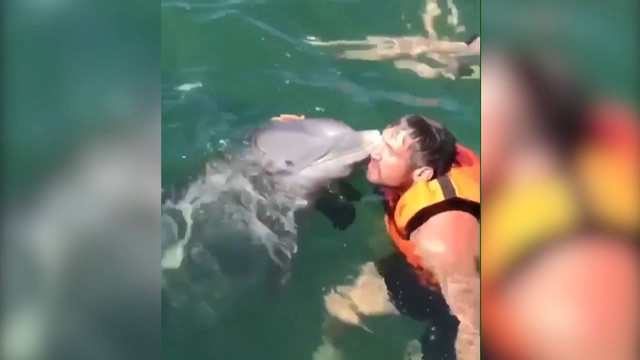Овечкин прокатился на дельфине во время мини-отпуска