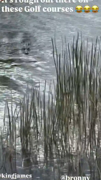 Аллигатор подкрался к Леброну во время игры в гольф