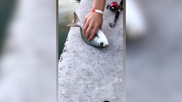 Малкин с сыном ловят рыбу и выпускают её обратно в воду